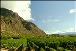 Cafayate 2 1